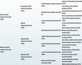 Pripúšťanie žrebcom anglický plnokrvník - 5
