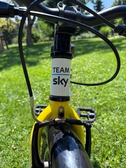 Frog TEAM sky 48 - 5