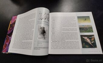 Kniha Morská akvaristika - sprievodca - 5