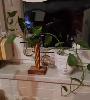 Kreatívna hydroponická váza s dreveným rámom NOVÝ - 5