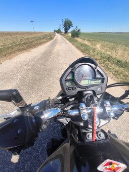 Honda Hornet 600 - 5