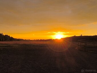 Ponúkame Ustajnenie - 5