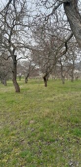 Predám pozemok s unimobunkou a vínnou pivnicou - 5