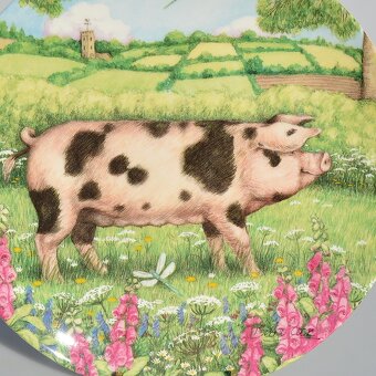 Porcelánové taniere z Anglicka - Šťastné prasiatka na lúke - 5