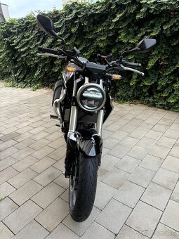 HONDA CBF 300 NA - 5
