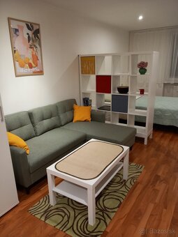 Prenájom 1 izbového bytu - 5