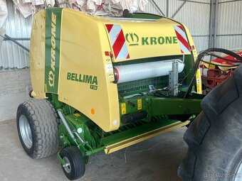 Lis Krone Belima - 5