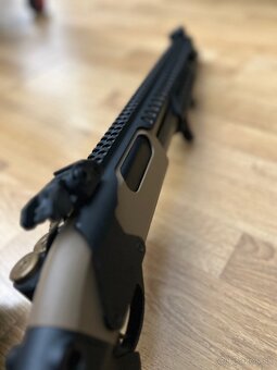 Golden Eagle 8875 (NBB) - 5