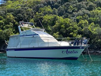 Fairline 32 Fly - 5