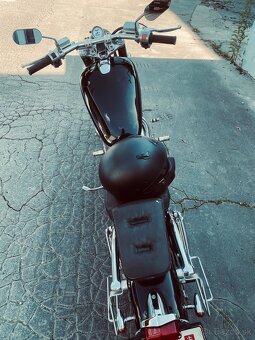 Suzuki Intruder 800 - 5