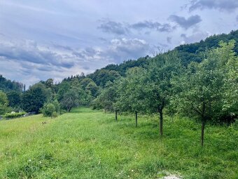 Pozemok s prechodom priamo do lesa - 5