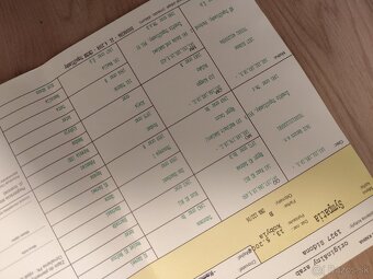 Kobyla originál arab - 5