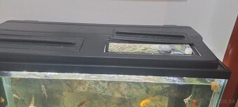 Predám akvárium aj z rybkami alebo bez. - 5