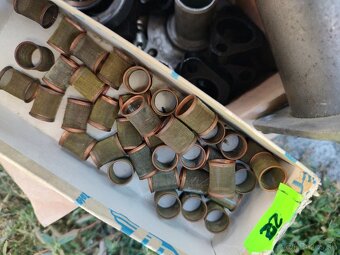 Felicia, Octavia, Spartak - 5