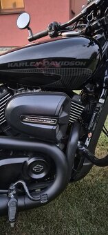 Harley-Davidson street rod - 5