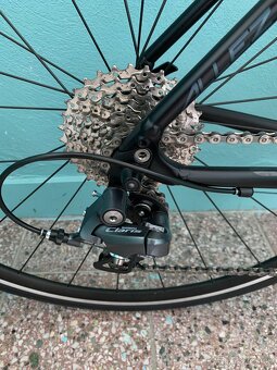 Specialized Allez E5 2023 - 5