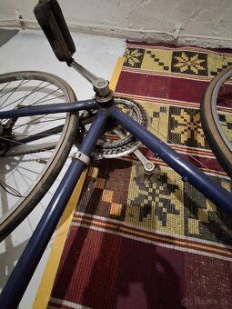 Favorit zavodnicka - 5