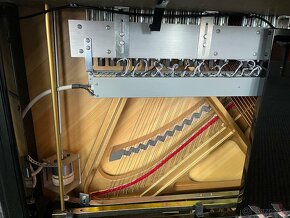 Nové pianino W.Steinberg a samohrajici system - 5