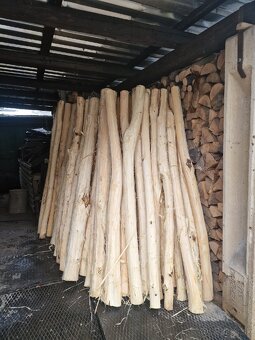 Agátové koly, stlpy - 5