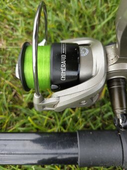 Kaprarska zostava daiwa delphin - 5