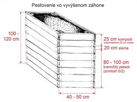 Svetelný koreň - semiačka, jednoročky, čerstvý, prášok - 5