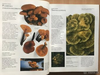 Peter Jordan: Veľká kniha o hubách - 5