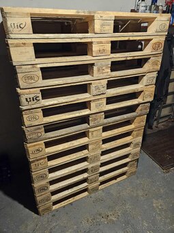 Europalety Svetle 50ks 120x80 - 5