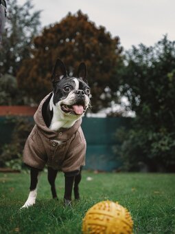fujifilm gfx 50sii - 5