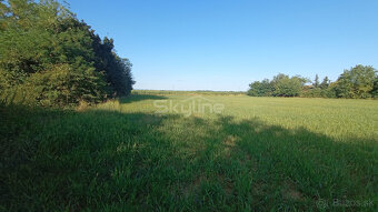 Na predaj zaujímavý stavebný pozemok 3800 m2 v tichej lokali - 5