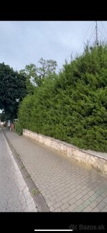 Kosenie, údržba záhrady BRATISLAVA - 5
