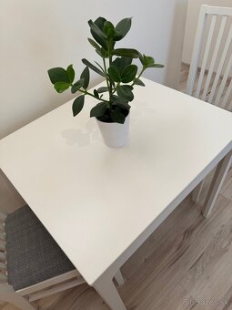 IKEA EKEDALEN stol + NORRNÄS stoličky - 5