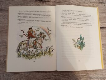 Div a zázrak M.Bulatov - 5