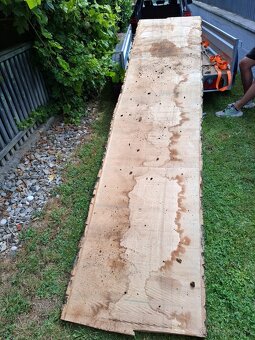 Jaseňové fošne - 5