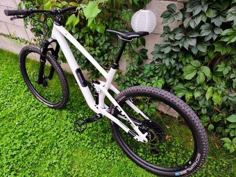 Cube STEREO ONE55 C:62, RACE 29 - 5