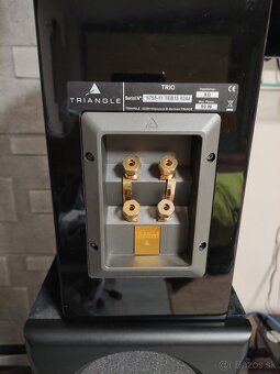 Triangle Genese Trio - 5