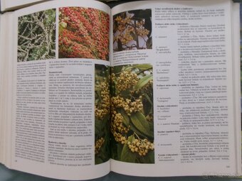 Jar, Leto, Jeseň, Zima v záhrade - komplet. - 5