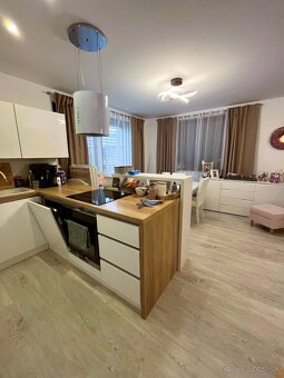 Novostavba 3 izbovej bytovej jednotky so záhradou, Podlužany - 5