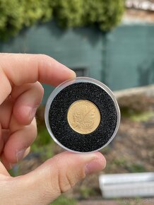 Zlata minca Dubček - 5