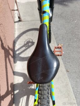 Focus JAM C 29 Carbon - 5