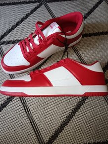 Usa champions AKCIA - 5