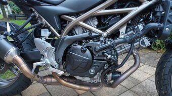 Suzuki SV 650 - 2024 - 5