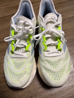 Adidas Sample - 5