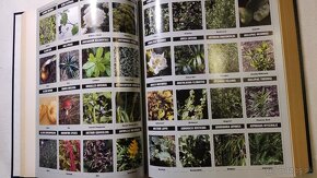 PDR for Herbal Medicines - 5