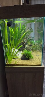 Akvárium - 5