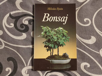 Dumas/Hemingway/Feuchtwanger/May/Kessler/Flaubert - 5