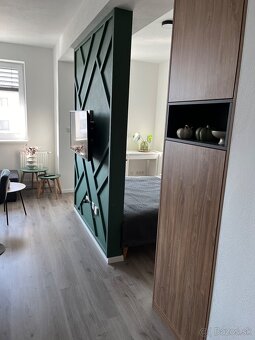 Prenájom 1,5-izb byt Vinohrady - 5