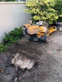 Frézovanie pňov, odstraňovanie pňov, výrub stromov - 5