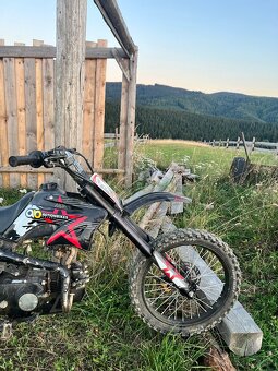 Pit bike 125 - 5