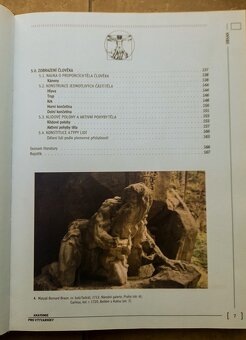 Anatomie člověka pro výtvarníky - 5