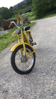 BABETTA 207 - 5